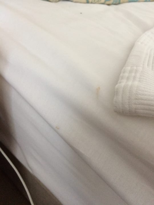 Zimmer Lonicera Resort & Spa Hotel