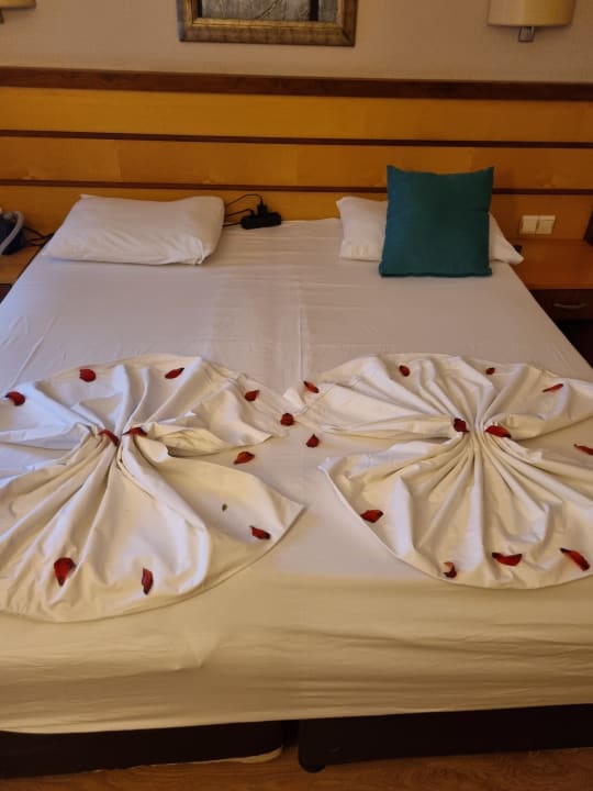 Zimmer Side Sun Hotel