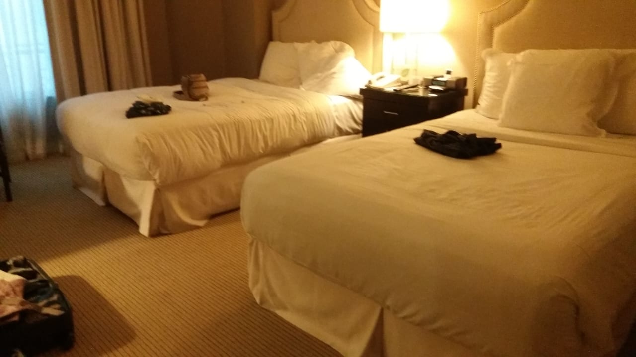 Zimmer Hotel Bristol Panama