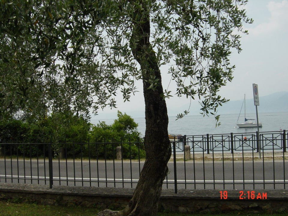 Vom Hotelgarten RIchtung See Hotel Garden Torri Del Benaco