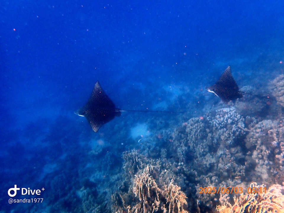 Strand Makadi Spa - Adults only