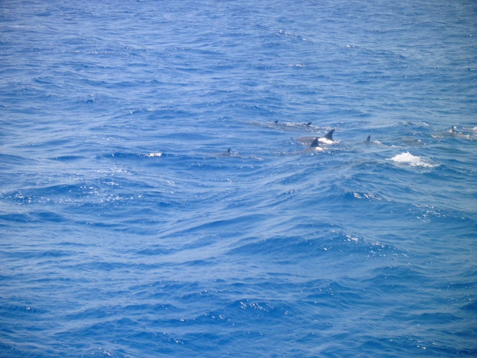 Delphine Arabella Azur Resort