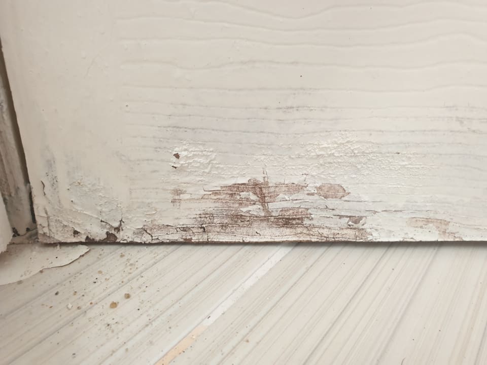 Zimmer Hotel Borjana