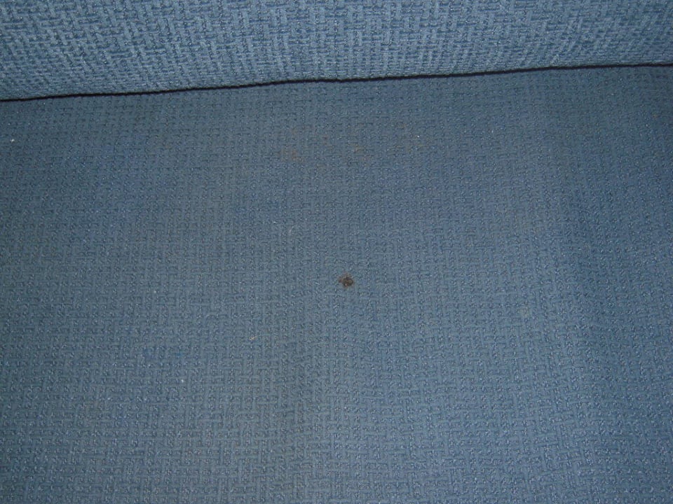 Sofa Club Hotel Pineta