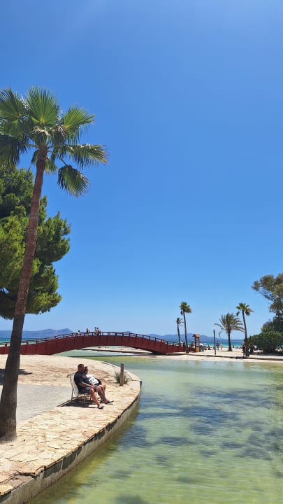 Strand allsun App.-Hotel Orquidea Playa