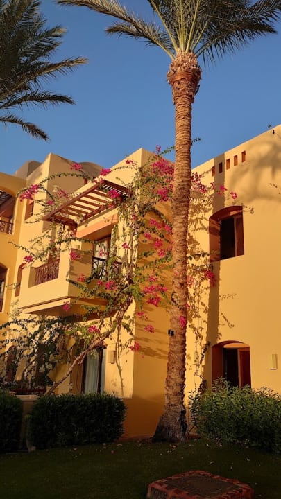 Außenansicht Steigenberger Coraya Beach - Adults only