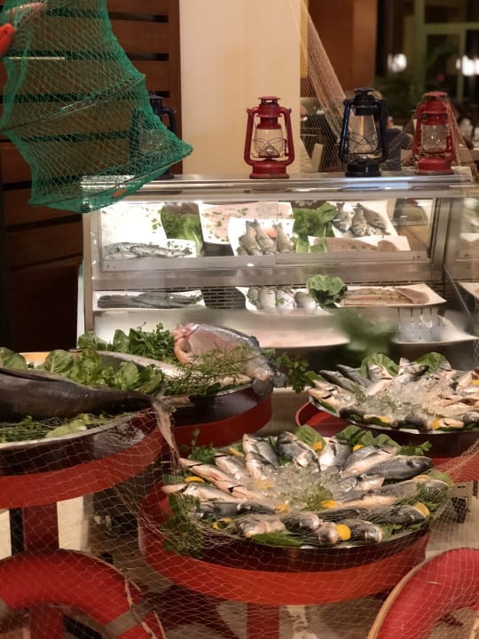 Gastro Arum Barut Collection