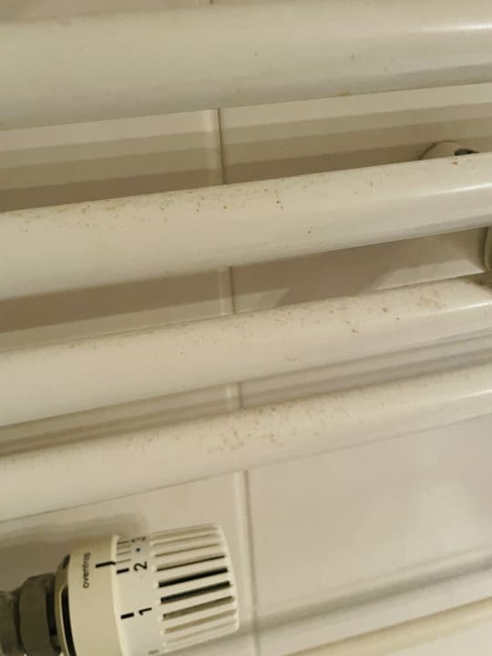 Zimmer Ferienwohnungen Ferienpark Weissenhäuser Strand