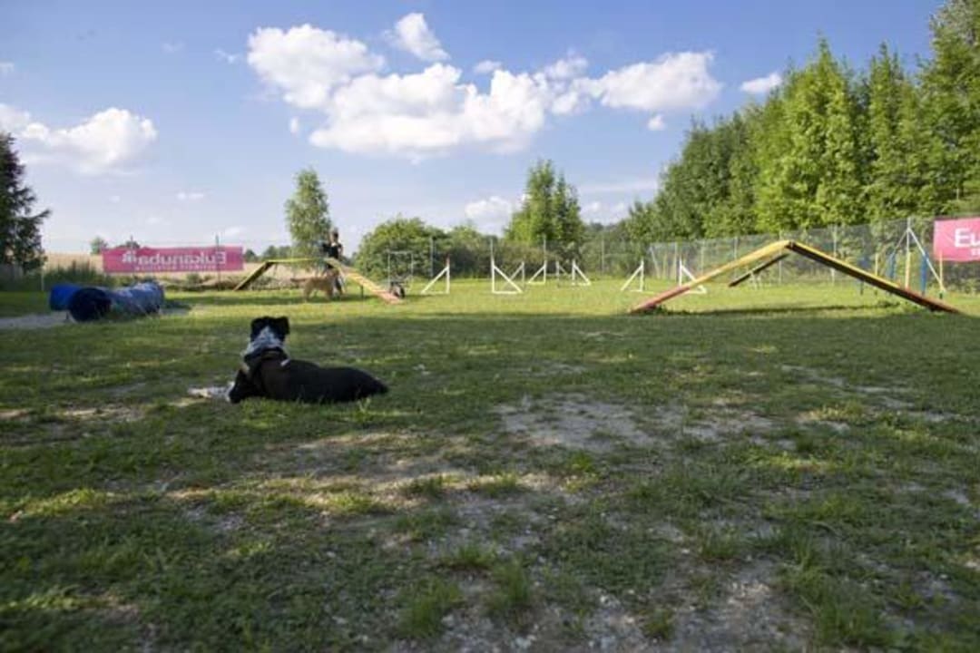 2200qm Bolzplatz - Hundeschule - Freizeitgelände World of Animals 4 Pfoten Resort