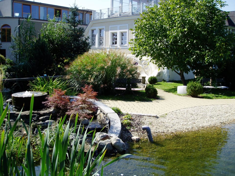 Biobadeteich Garten-Hotel Ochensberger