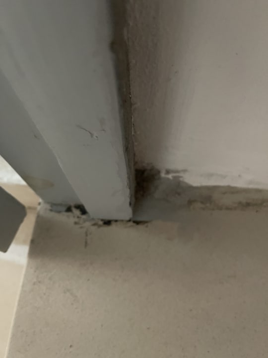 Zimmer Hotel Viva Dominicus Beach by Wyndham - All Inclusive Resort