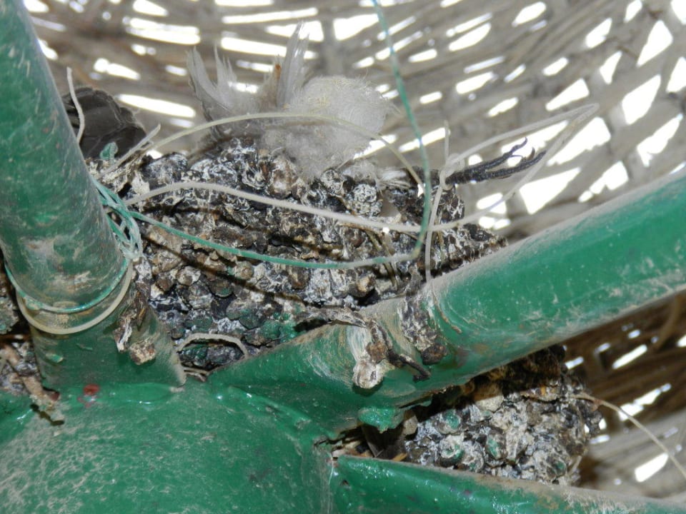 Wie kann man so etwas tun? Happy Life Village