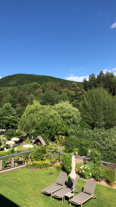 Gartenanlage Gartenhotel Moser