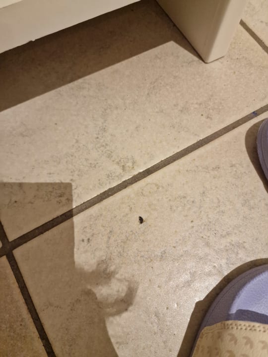 Zimmer Schwanenhof Hotel und Restaurant