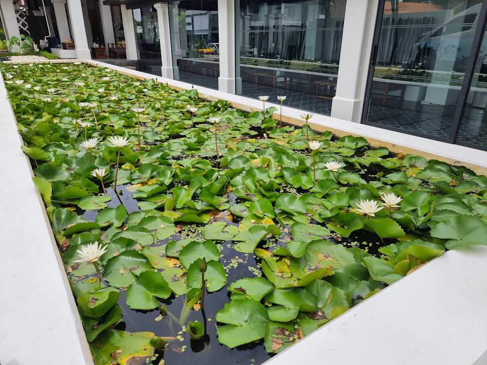 Gartenanlage Chaweng Regent Beach Resort