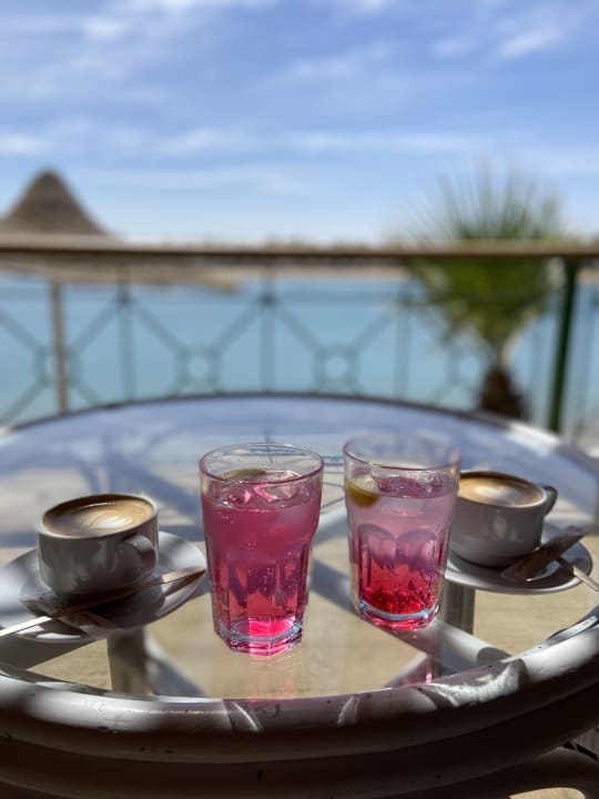 Sonstiges Desert Rose