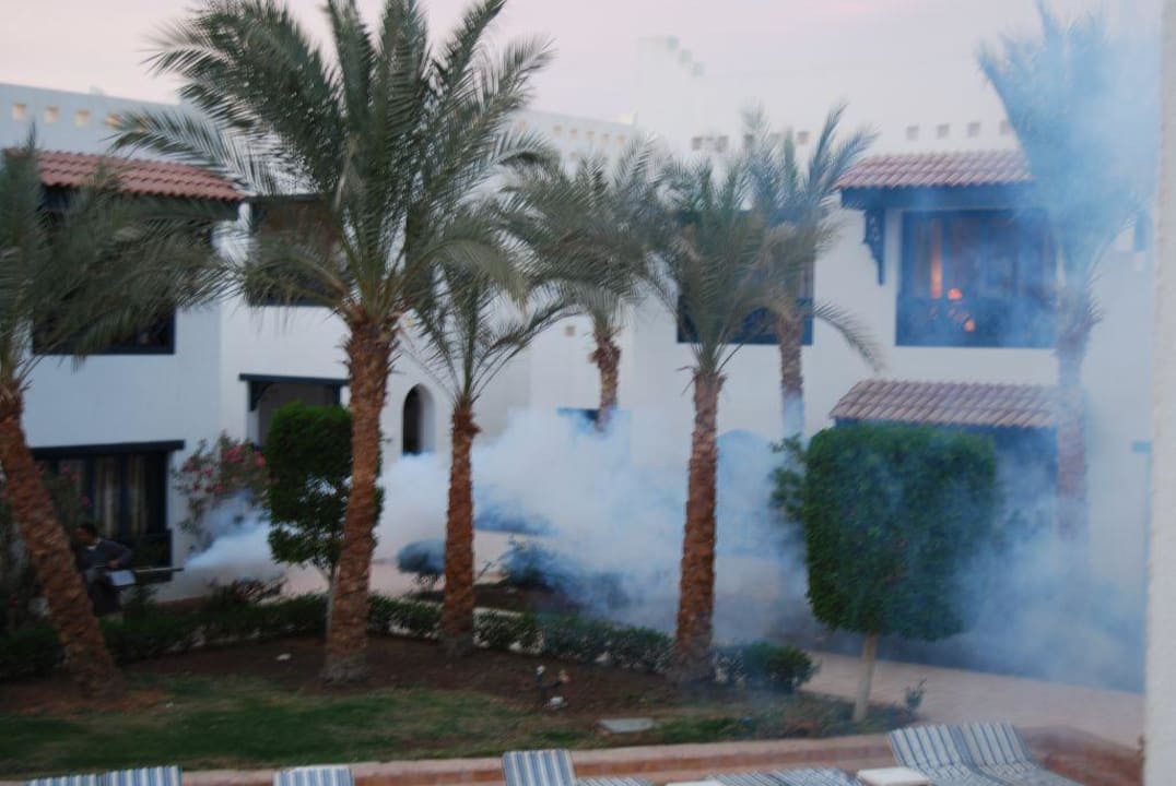 Tak odstraszali szkodniki Mazar Resort & Spa