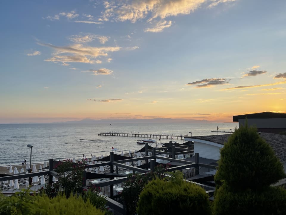 Ausblick Arum Barut Collection