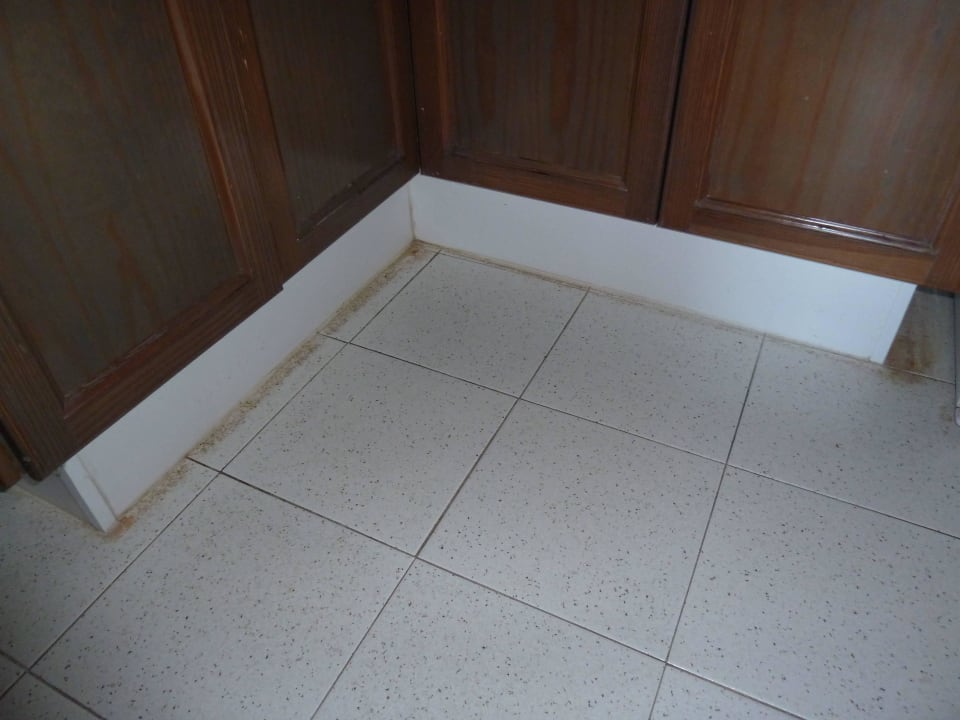 Zustand des Apartements Apartments Las Tres Palmeras