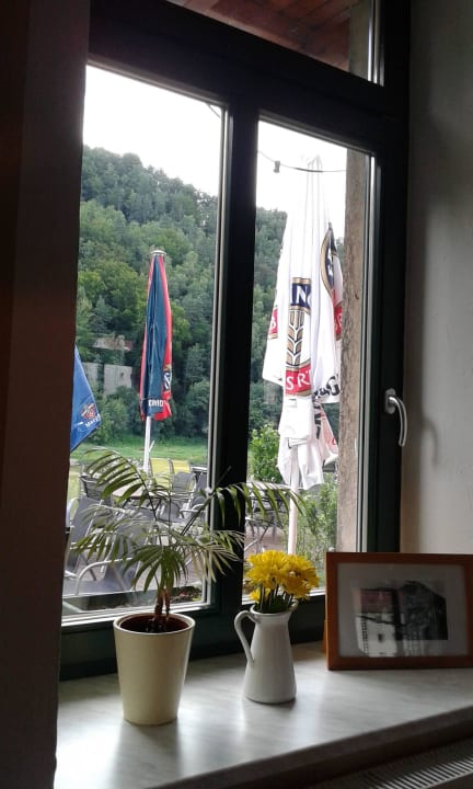 Blick nach draußen Pension Bomätscher