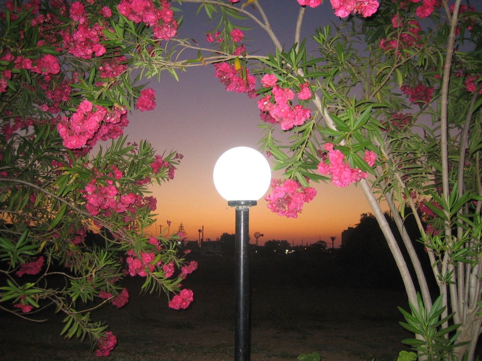 Sonstige Crystal Springs Beach Hotel