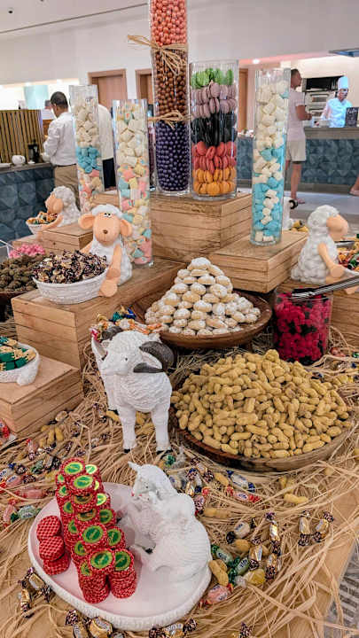 Gastro JAZ Elite Asteria