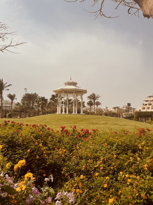 Gartenanlage Steigenberger ALDAU Beach Hotel