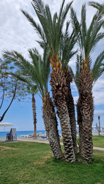 Gartenanlage Labranda Alantur Resort