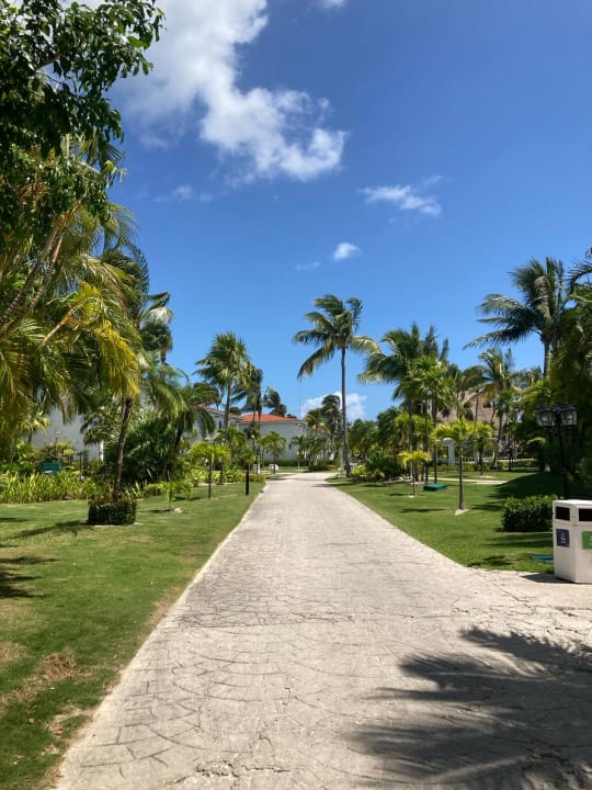 Gartenanlage H10 Ocean Maya Royale - Adults only