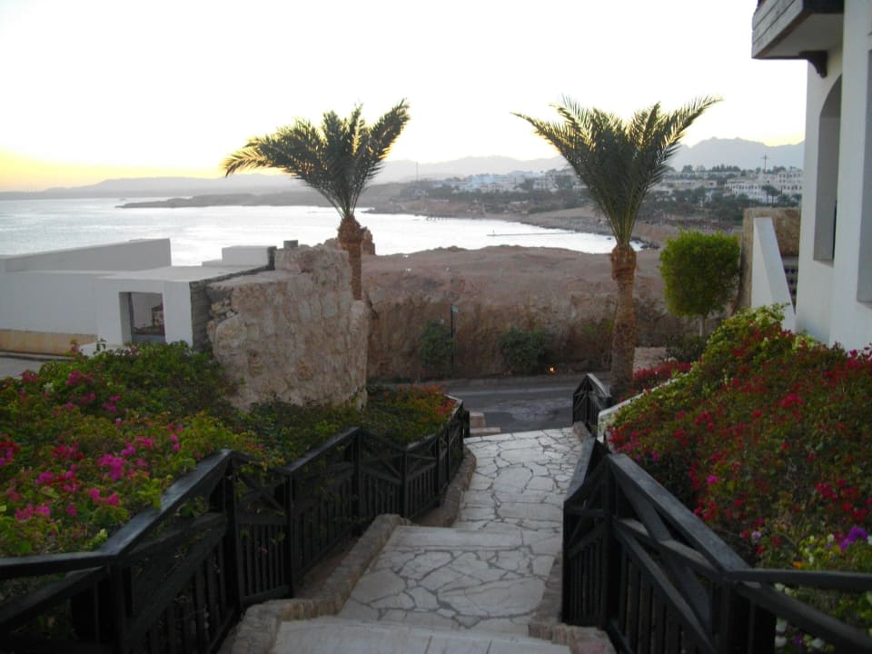 Gartenanlage Sharm Plaza