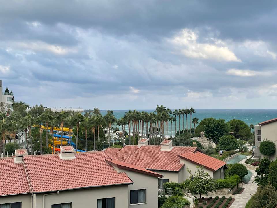 Ausblick Arum Barut Collection