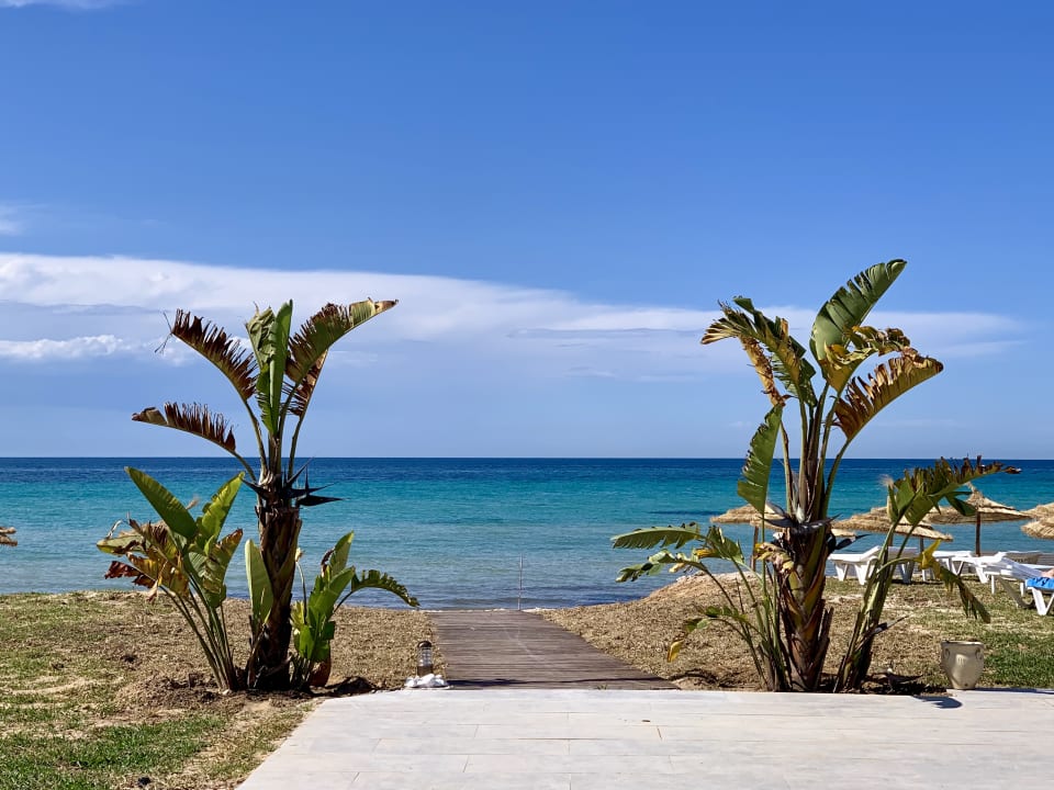 Strand Iberostar Selection Kuriat Palace