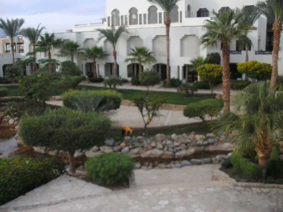 Terrassenausblick Sharm Plaza