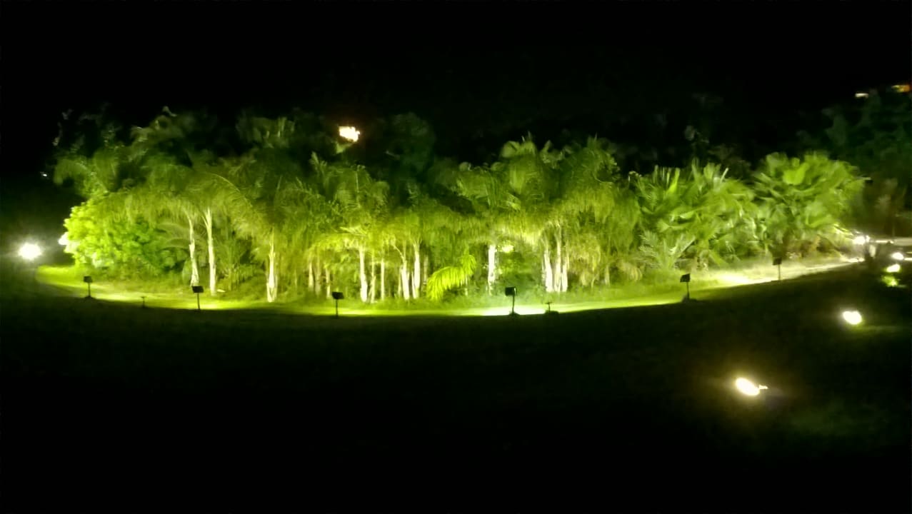 Gartenanlage Fort Arabesque Resort, Spa & Villas