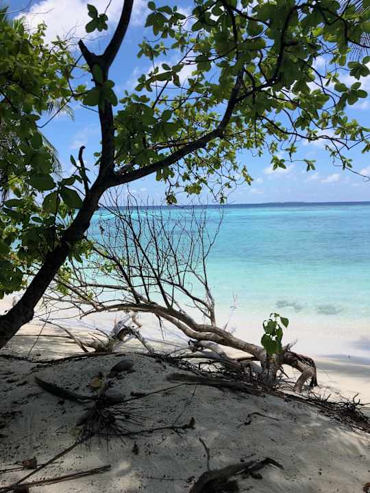 Strand aaaVeee Nature's Paradise