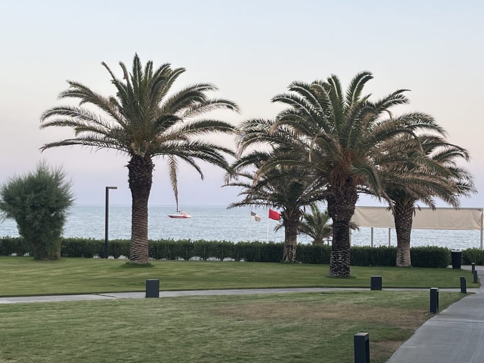 Gartenanlage Paloma Finesse