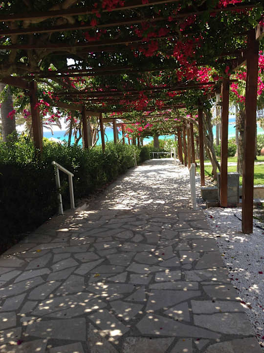 Der Weg zum Meer Hara Nissi Beach