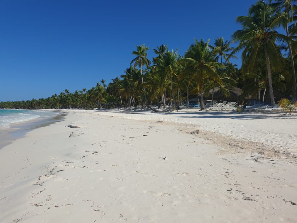 Strand Lopesan Costa Bávaro Resort, Spa & Casino