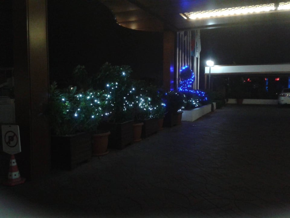 Am Außeneingang schöne Dekoration Adalya Ocean Deluxe