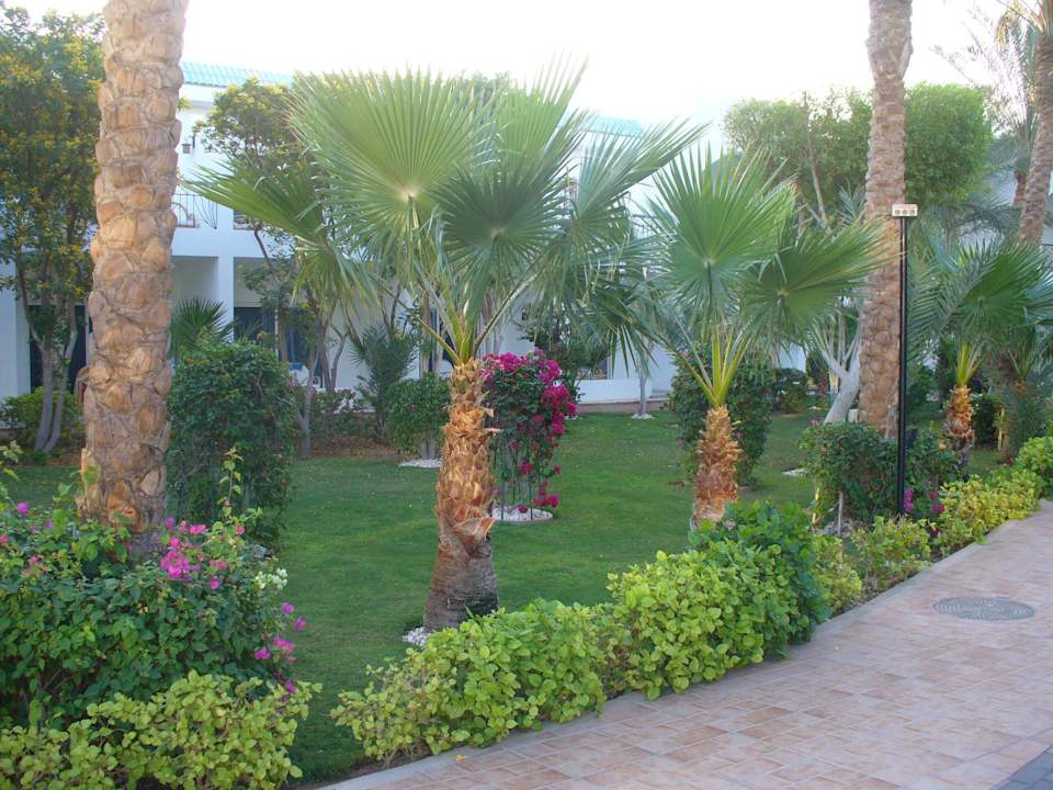Blick in die Gartenanlage Sultan Gardens Resort