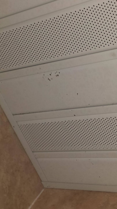 Badezimmerdecke Odessos Park Hotel