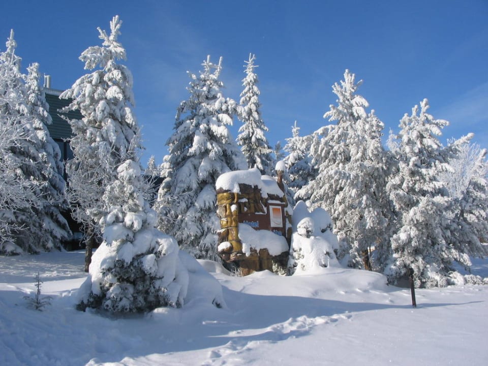 Hotelschild AHORN Waldhotel Altenberg