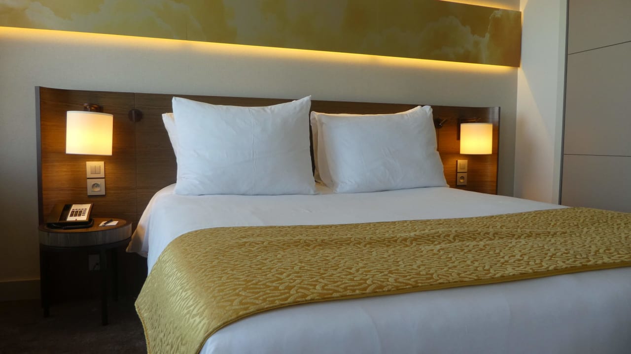 Zimmer Hotel Radisson Blu Lyon