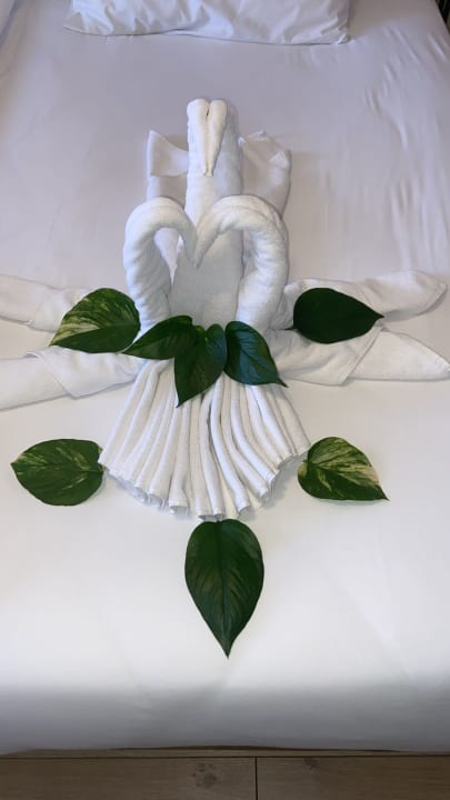 Zimmer Hotel Defne Garden