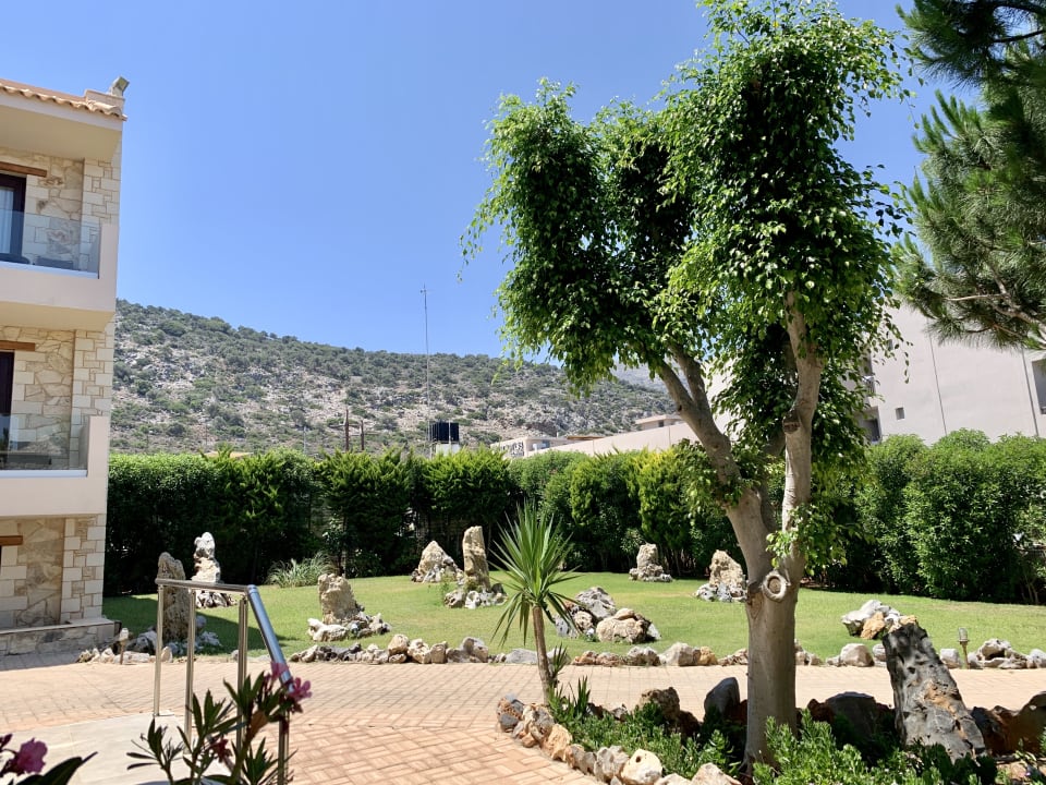 Gartenanlage Cactus Royal