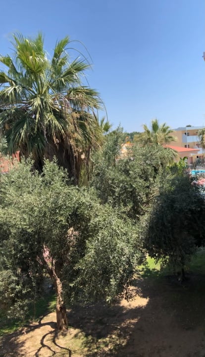 Ausblick Hotel Golden Odyssey