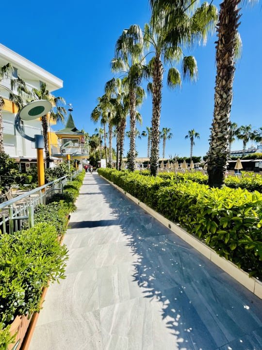 Gartenanlage Hane Family Resort