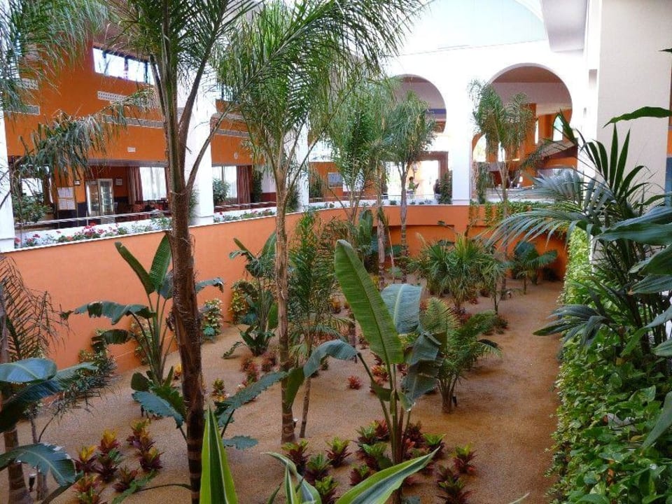 Lobby Playamarina Hotel