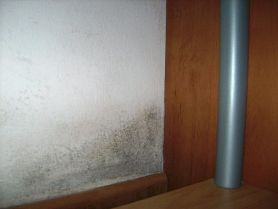 Schimmel im Zimmer Sonnenwald Hotel