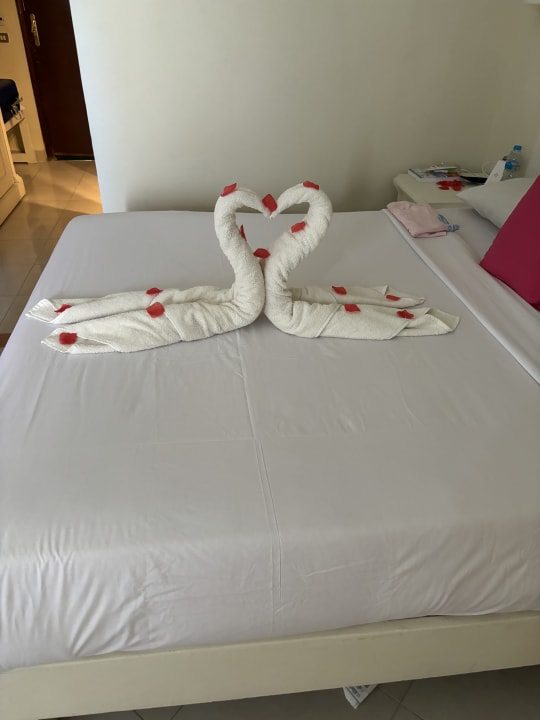 Zimmer Shams Safaga Resort